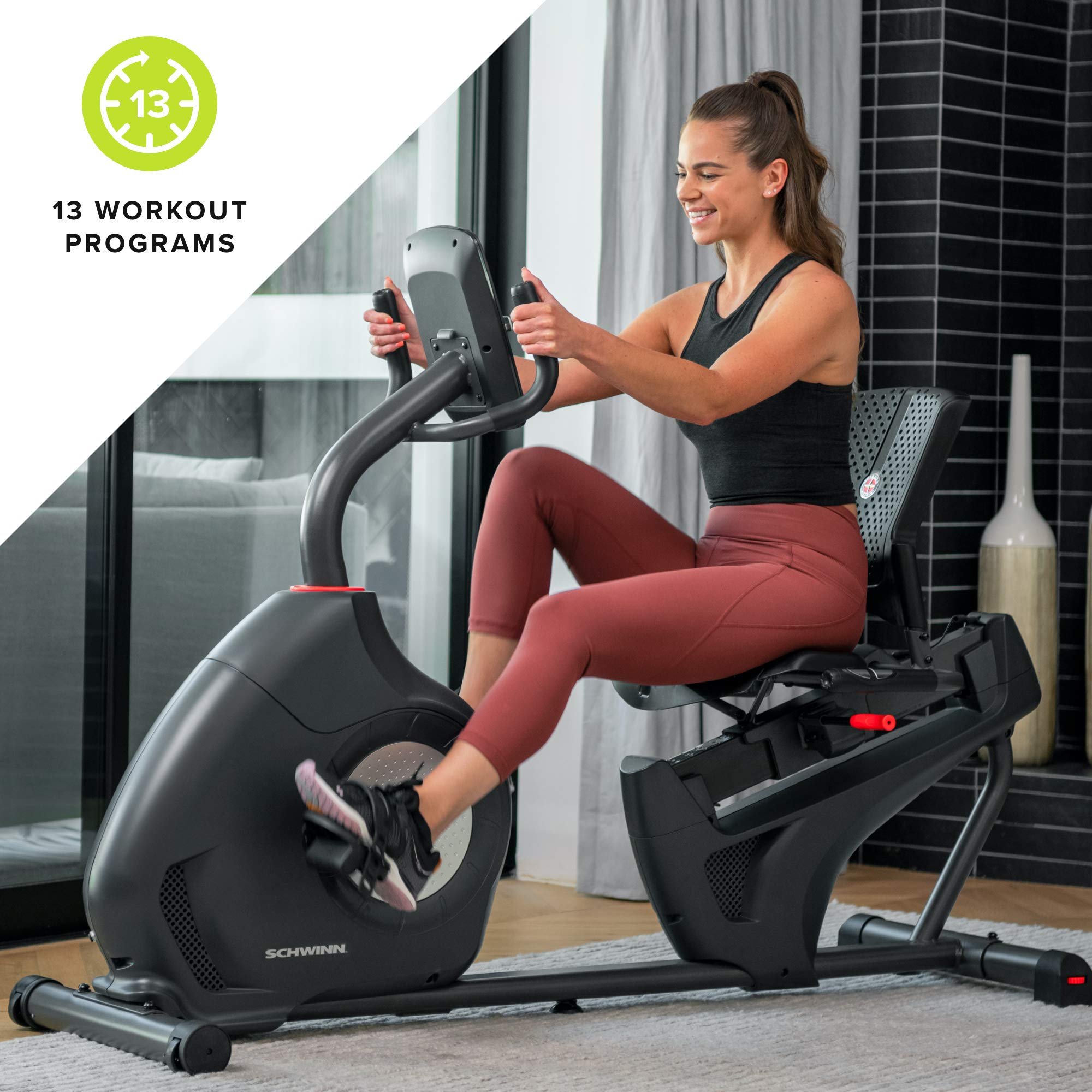 Schwinn Recumbent Bike Series