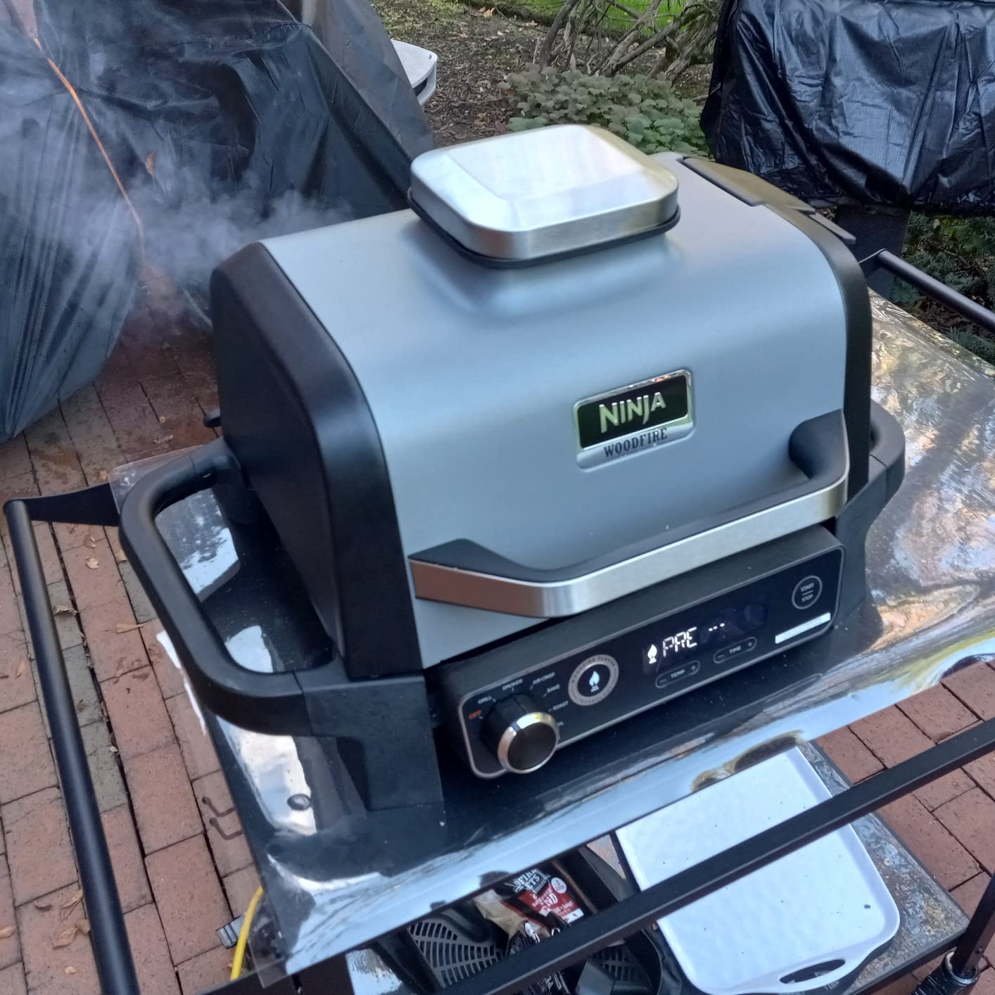 Ninja OG701 Woodfire Grill