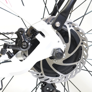 ebike fat  6
