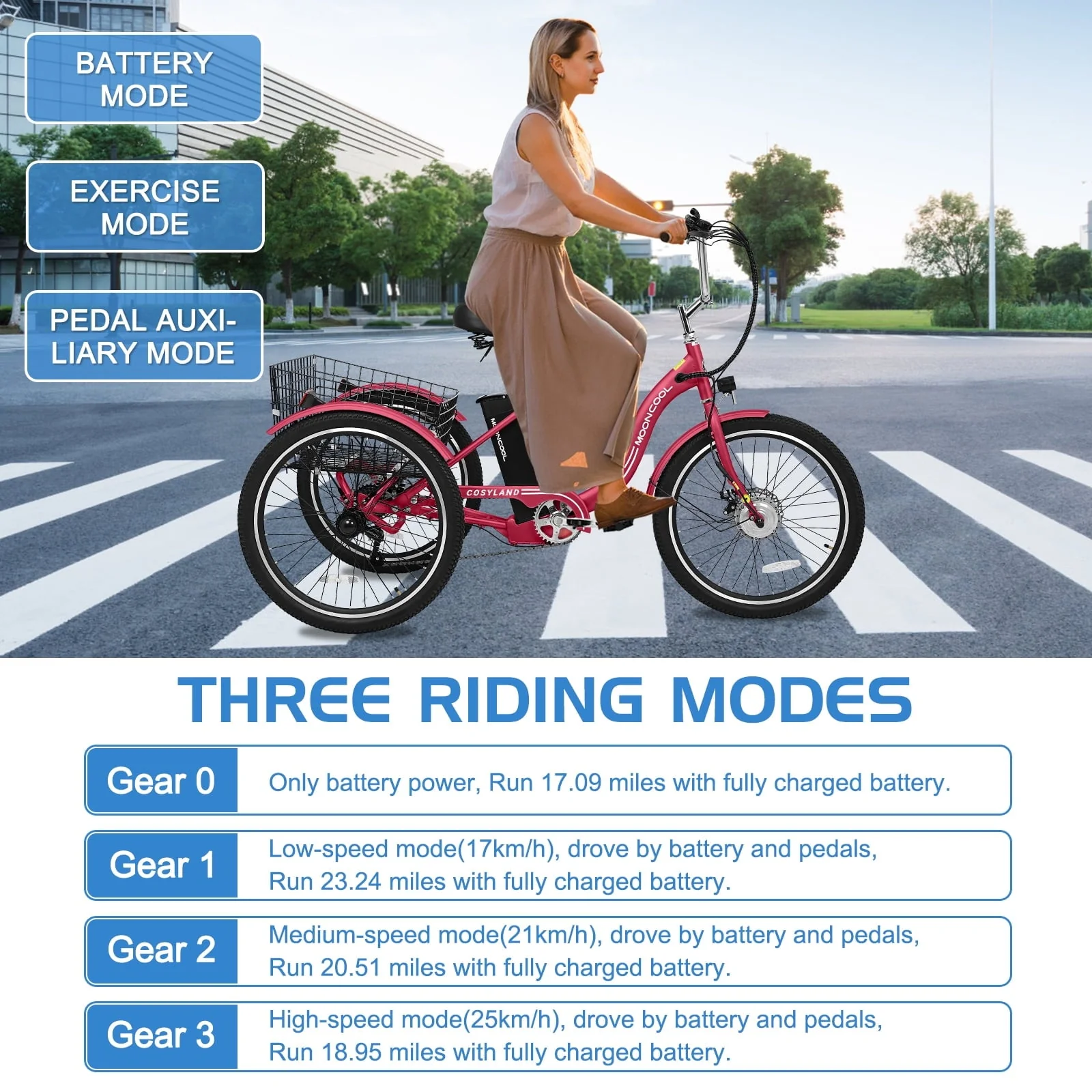 Lilypelle 24in Electric Tricycle with Basket, 350W, 36V 10.4Ah