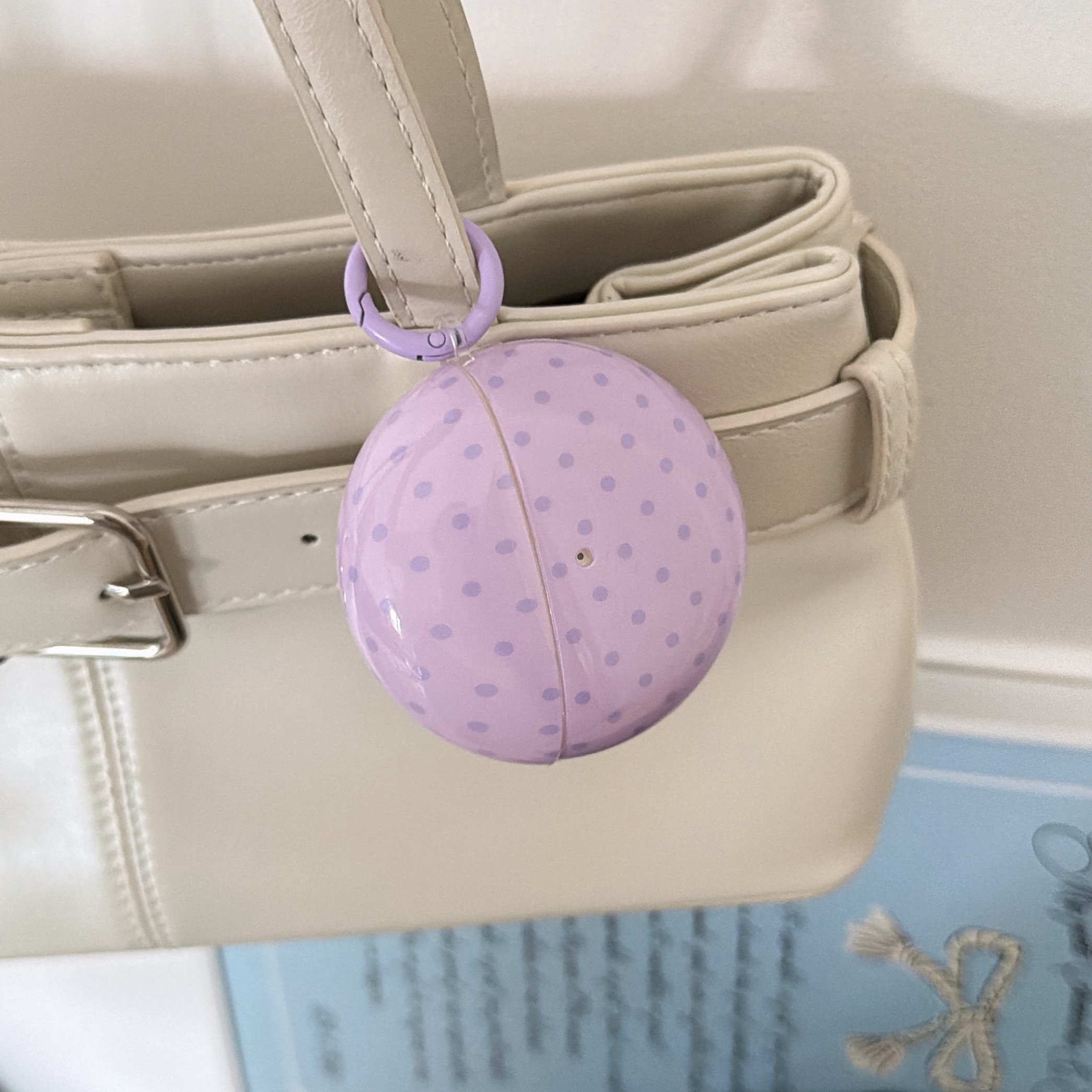 Earphone Case Protective Case - back view