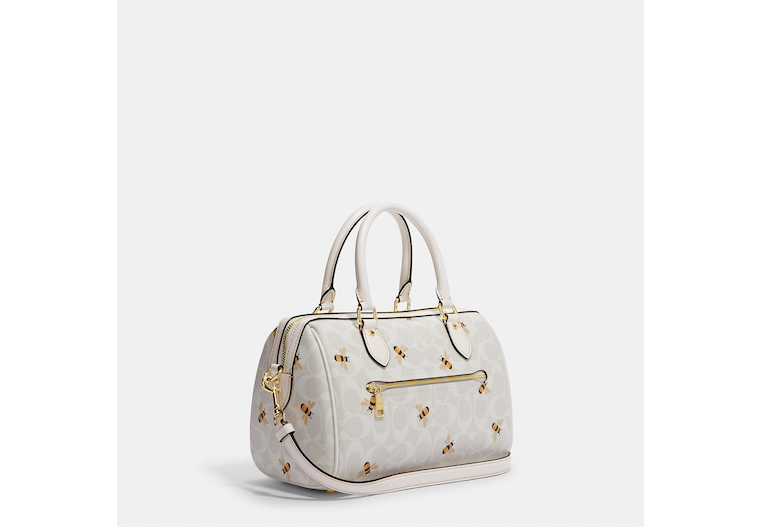 COACH Classic handbags