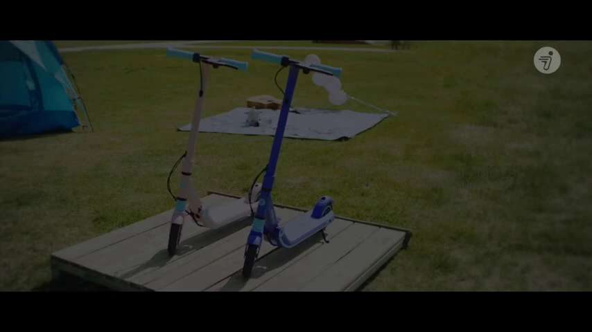 Segway Ninebot Electric Kick Scooter for Kids