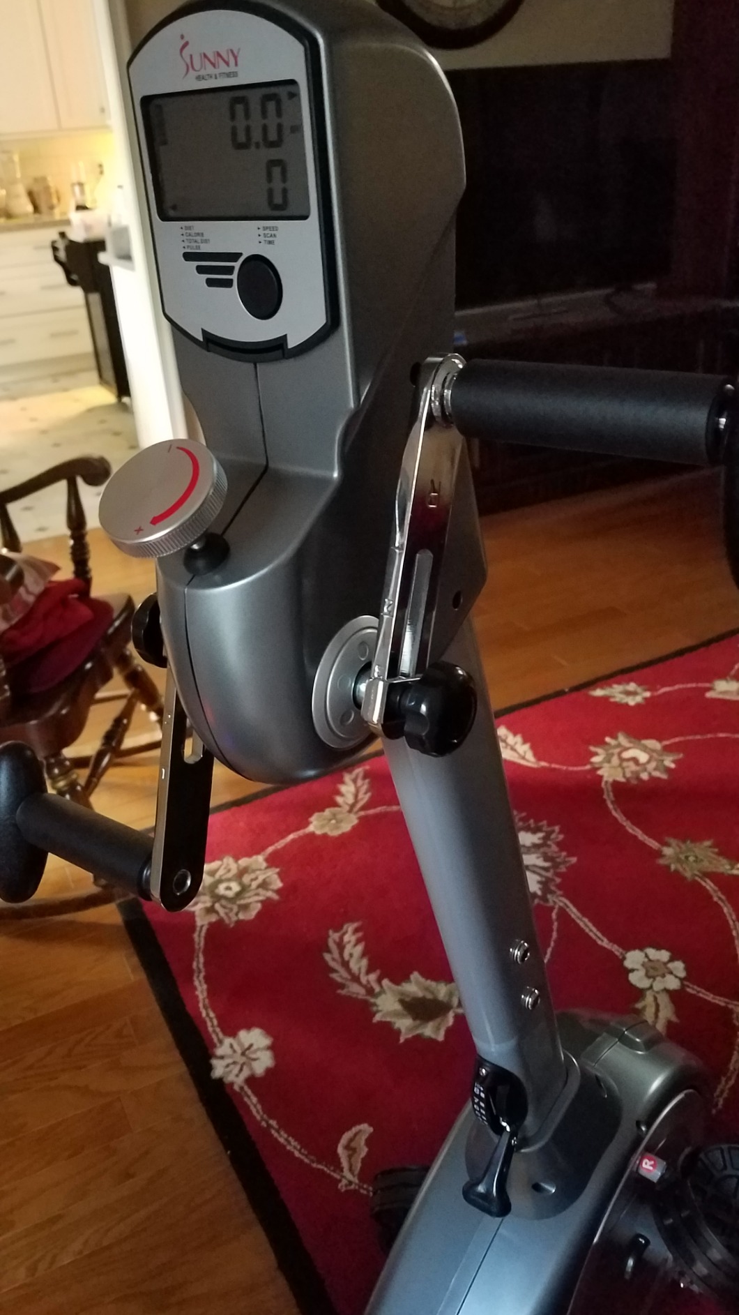 Sunny Health & Fitness Recumbent Bike SF-RB4631 with Arm