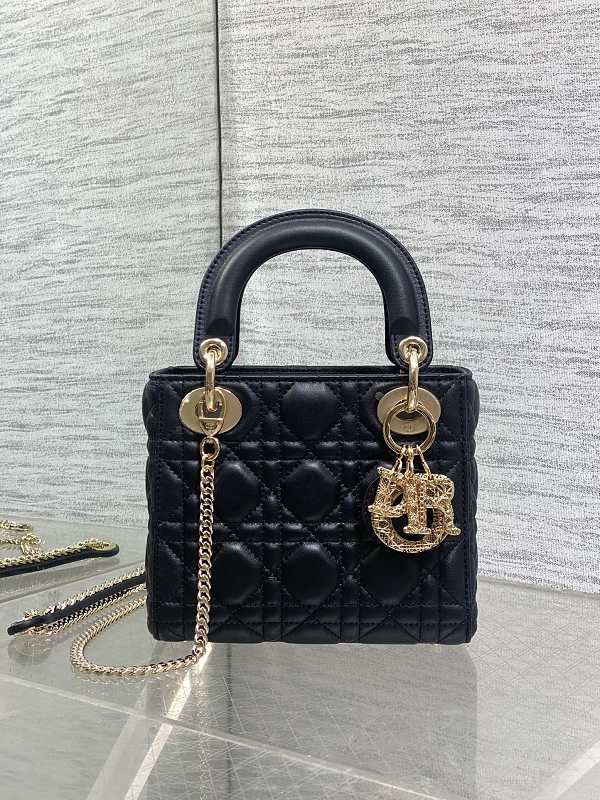 Lady Dior Bag Mini Black And Cherry Red