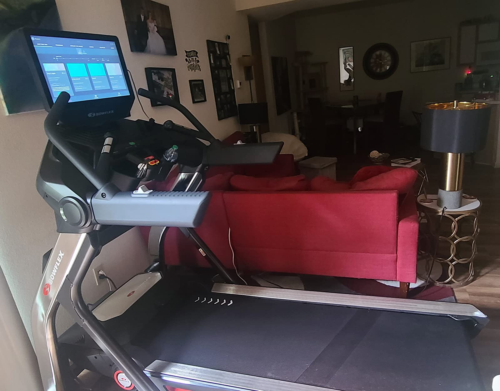 Bowflex Treadmill Series