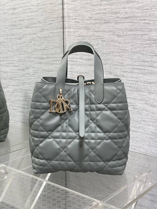 Dior Toujours Vertical Tote Bag Medium Gray