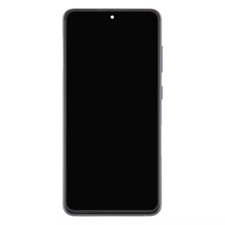 Galaxy S21 FE LCD / OLED Screen OLED - back view
