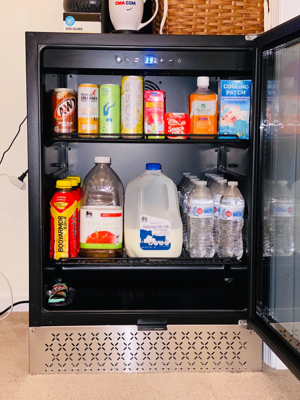 Tylza Beverage Refrigerator 24 Inch