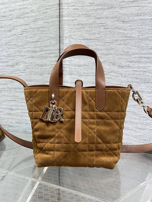 Dior Toujours Vertical Tote Bag Small Tan Suede