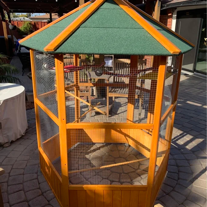 Fielding 65'' Pointed Top Flight Cage with Perch