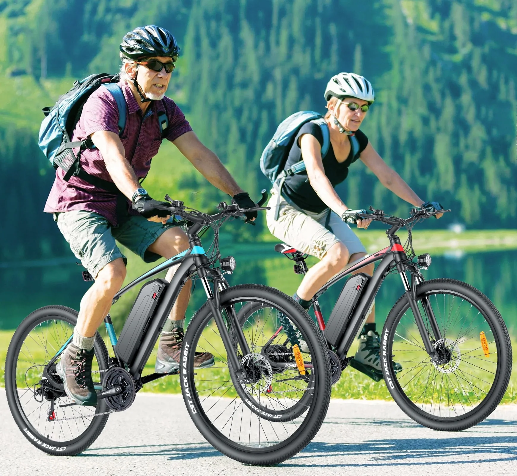 Gocio 27.5in Electric Mountain Bike, 500W, 48V