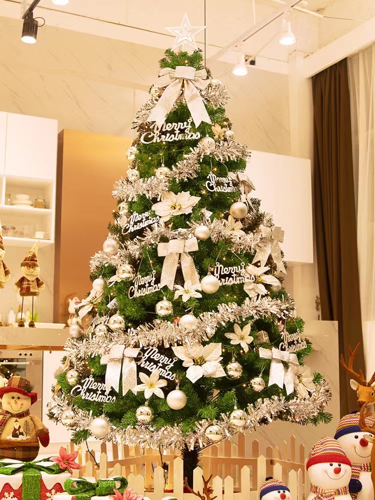 Christmas Tree package large household luminous decorations