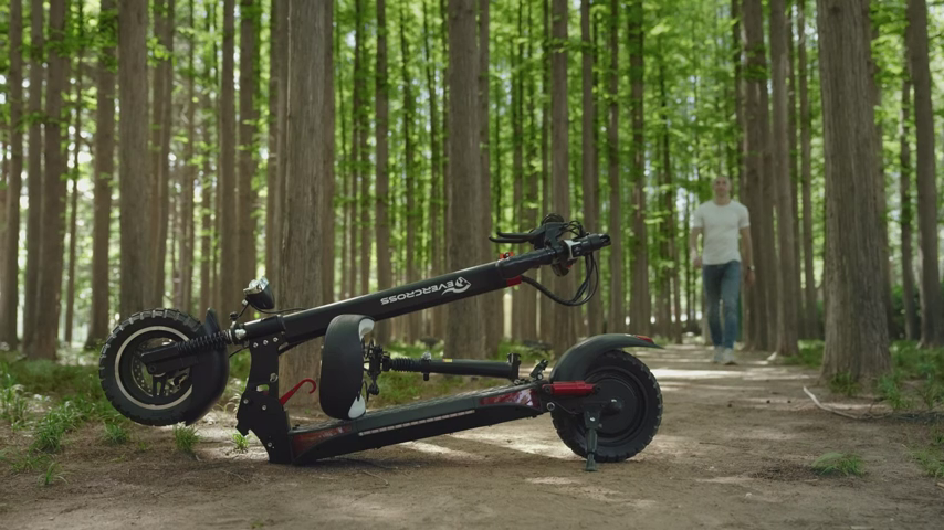 Electric Scooter, Electric Scooter for Adults with 800W Motor