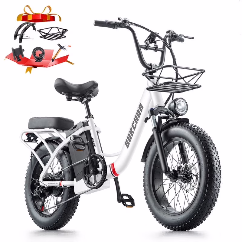 20in Fat Tire Electric Bike, 800W, 48V 32Ah, Two Seats