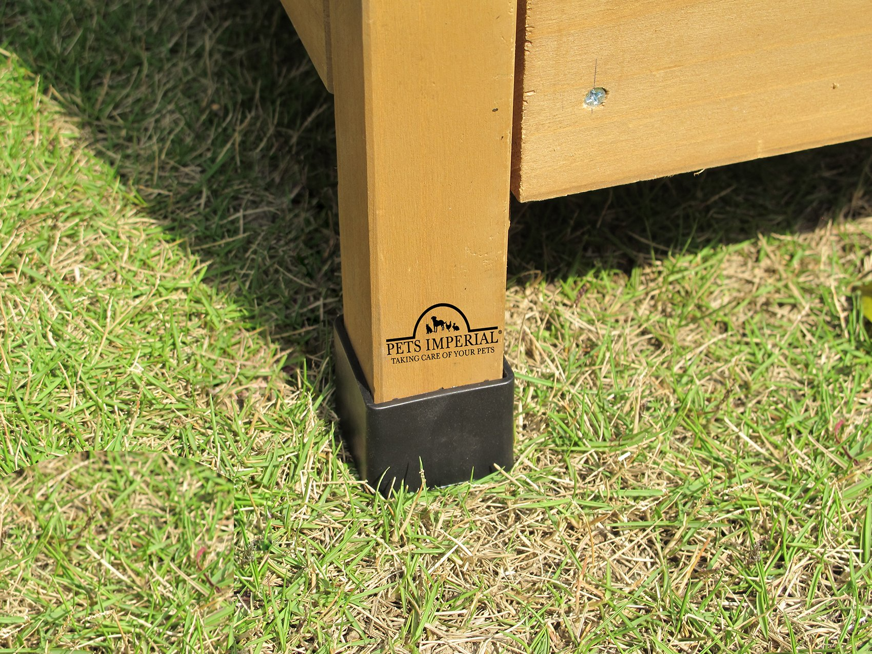 Double Savoy Large Chicken Coop with 2 Nest Boxes Suitable Up