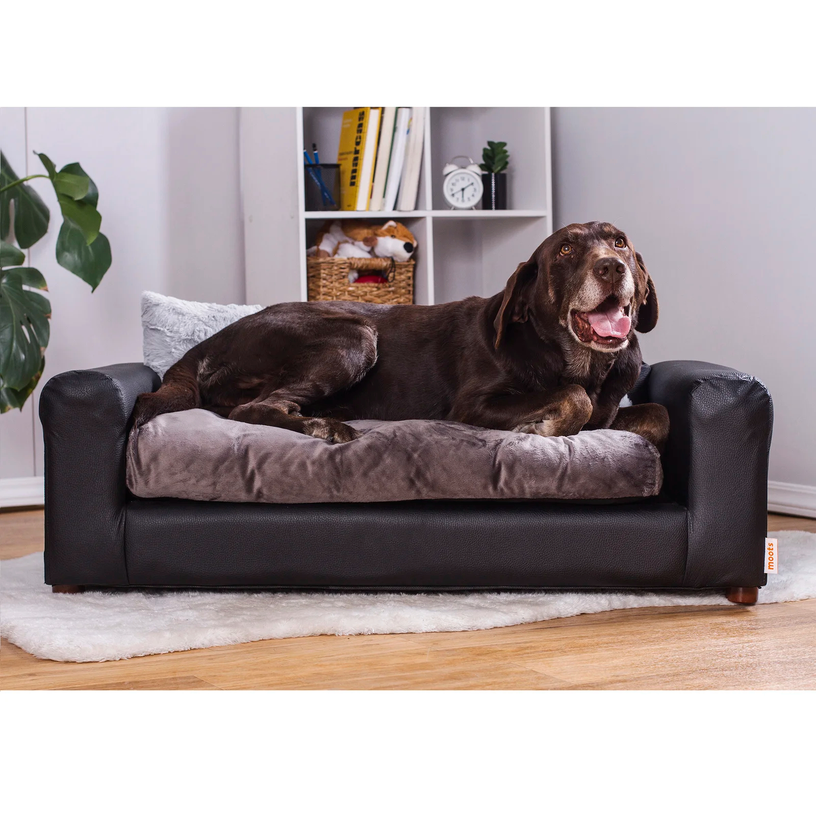 Kayenta Premium Dog Sofa