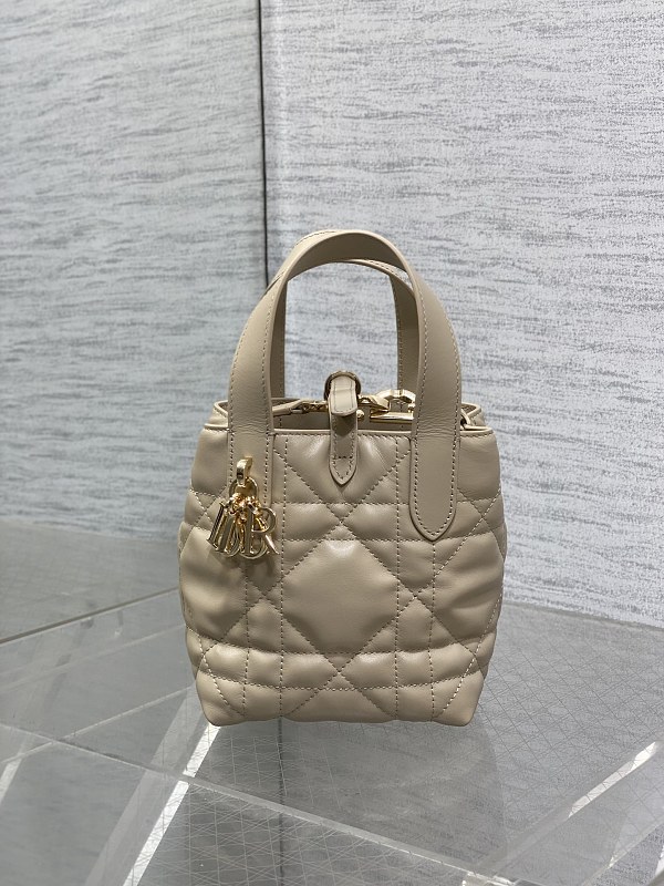 Dior Toujours Vertical Tote Bag Mini Taupe