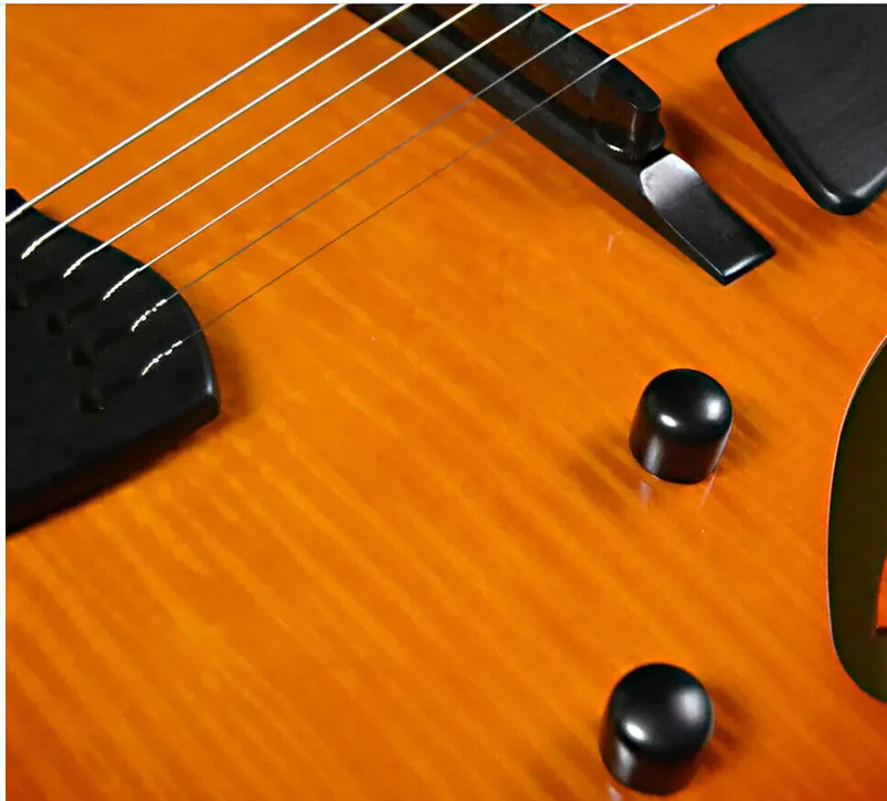 Sadowsky Archtop Jim Hall Model Sienna Burst Electric Guitar Hot push
