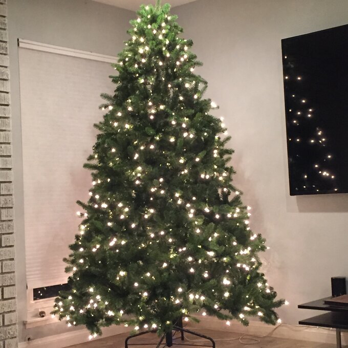 Newberry Spruce 90'' Lighted Artificial Spruce Christmas Tree