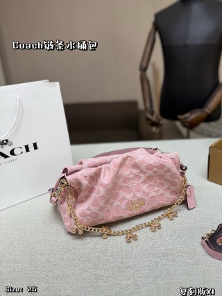 Coach Chain Bucket Bag