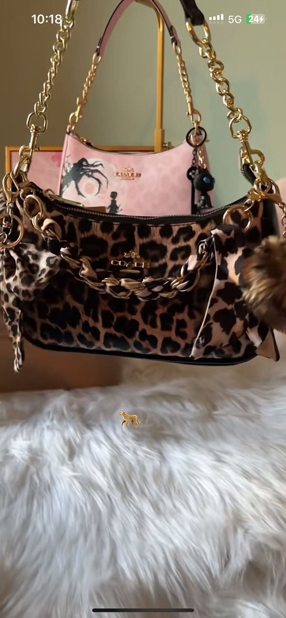 Coach Teri Shoulder Bag With Leopard Print