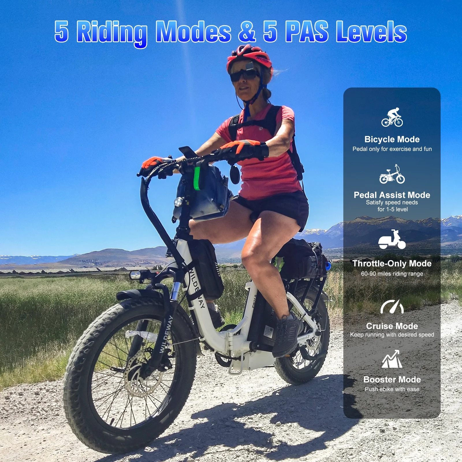 Wildeway 20in Folding Electric Bike, 750W, 48V 32Ah, Hydraulic Brakes