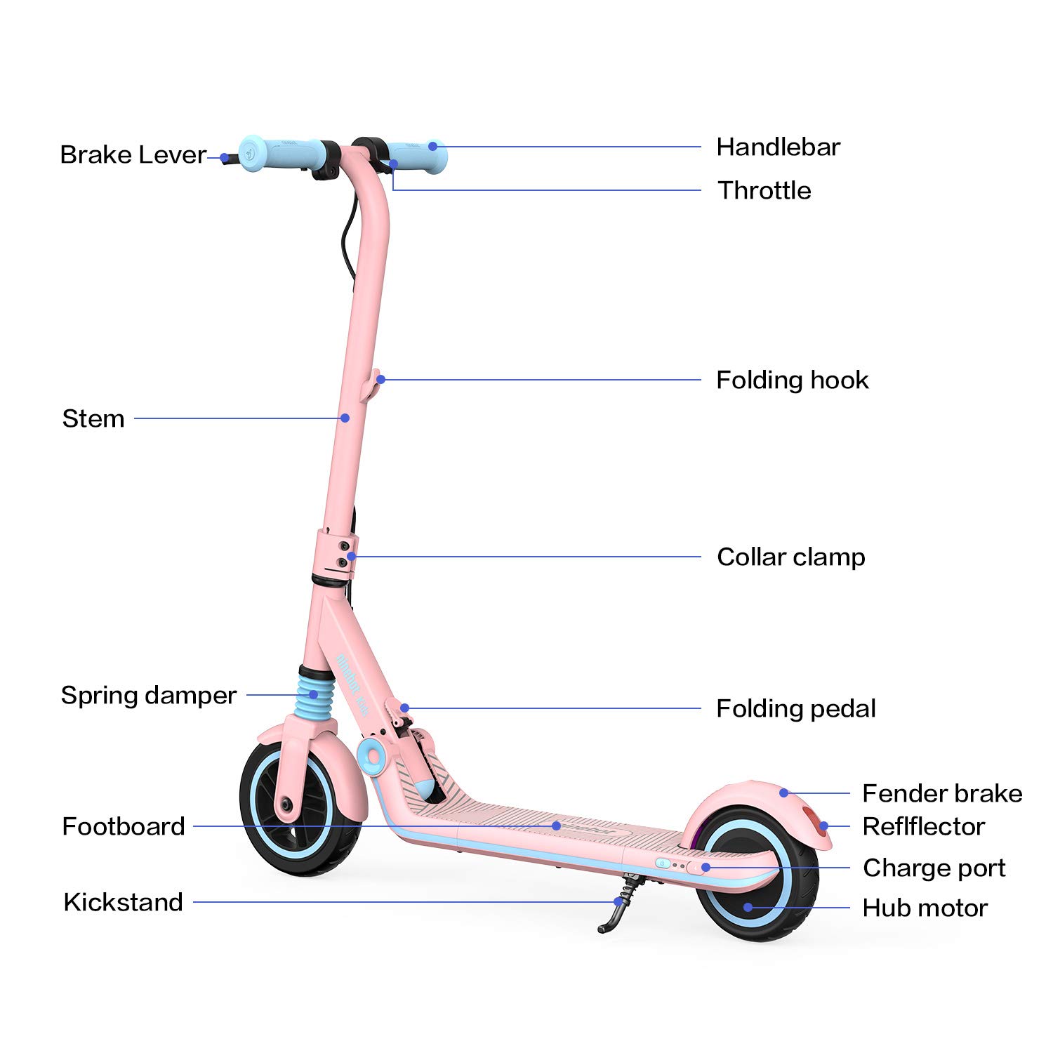 Segway Ninebot Electric Kick Scooter for Kids