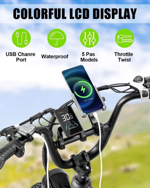 20in Fat Tire Electric Bike, 800W, 48V 32Ah, Two Seats