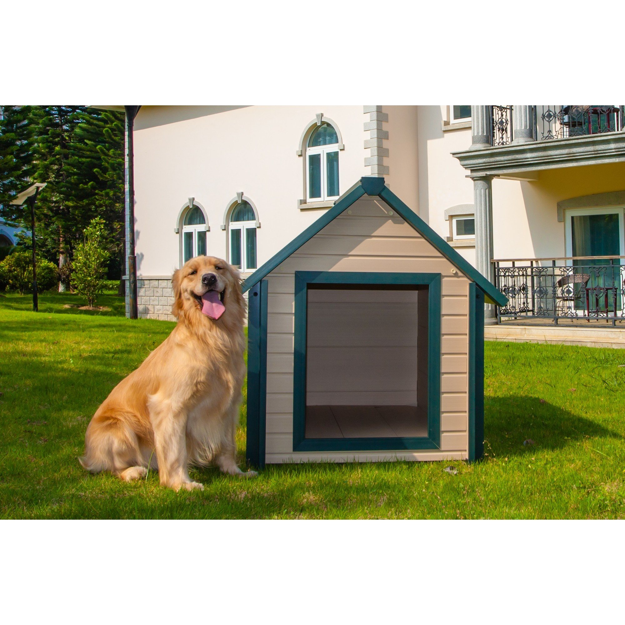 Bunk Style Dog House