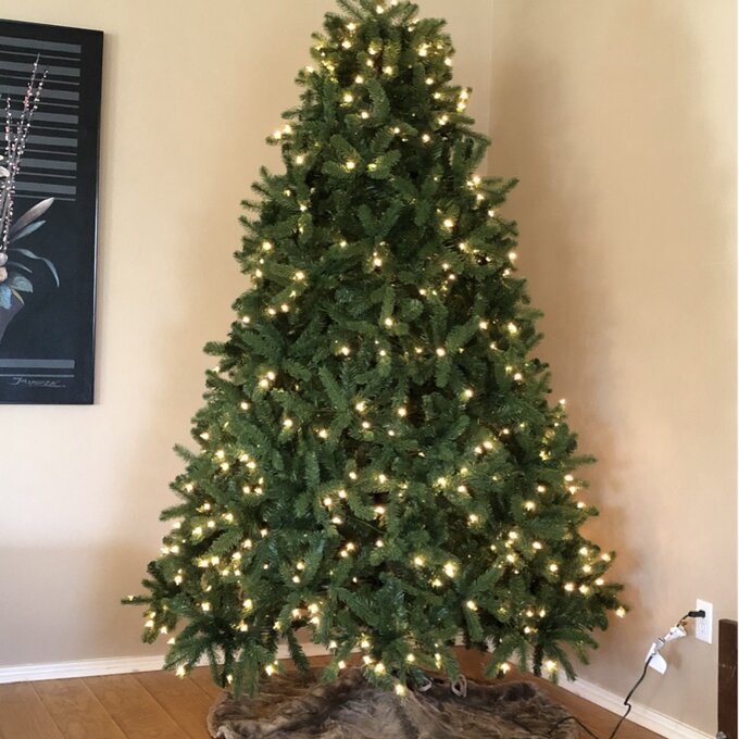 Newberry Spruce 90'' Lighted Artificial Spruce Christmas Tree