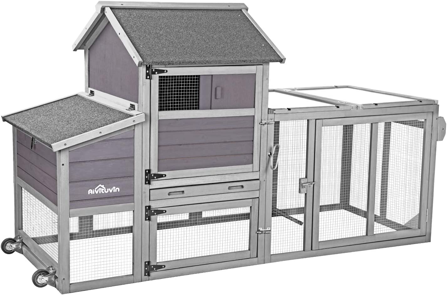 80 Movable Chicken
