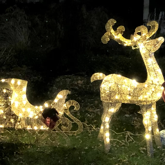 Reindeer Pulling Sleigh Lighted Display
