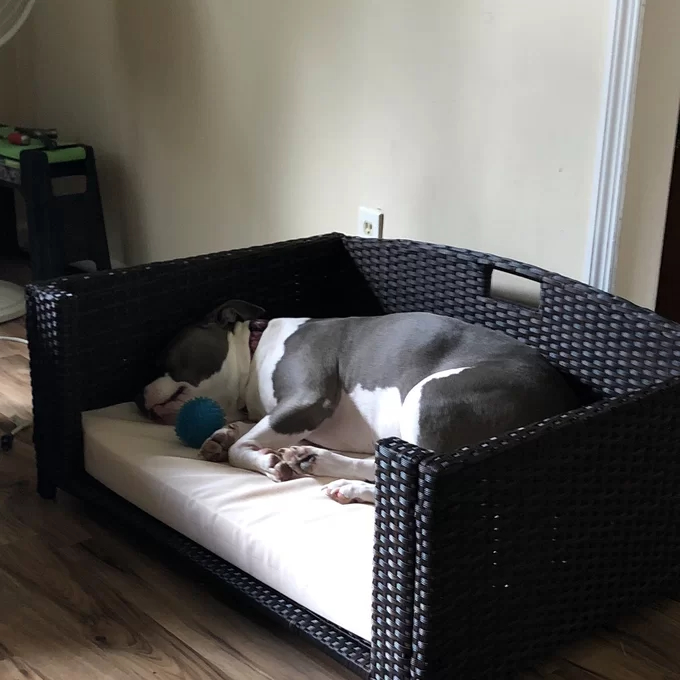 Cristobal Rattan Rectangular Dog Sofa
