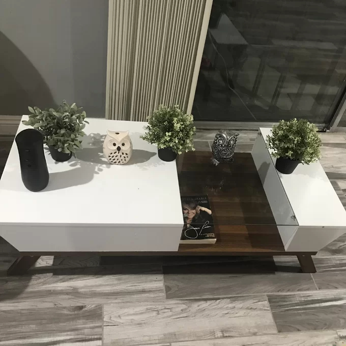Soto 4 Legs Coffee Table with Storage