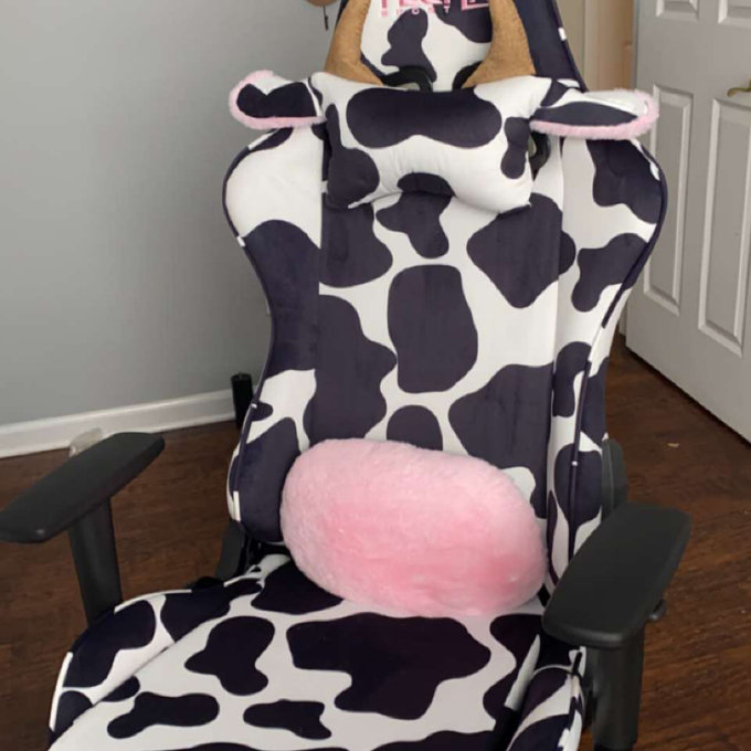 PC & Racing Gaming Chair