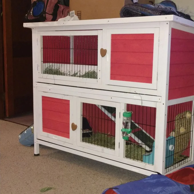 Handler Weather Resistant Small Animal Hutch with Ramp