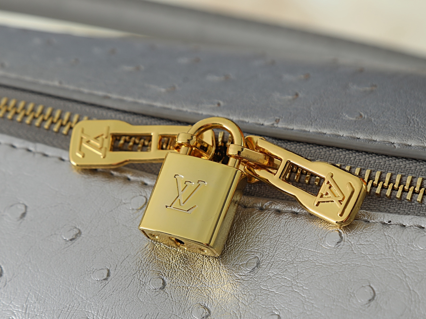 LV Speedy Soft 30（Ostrich Embossed）