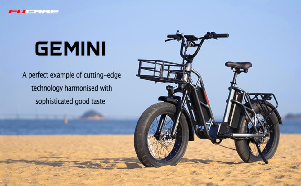Fucare Electric Bike Bicycle Gemini