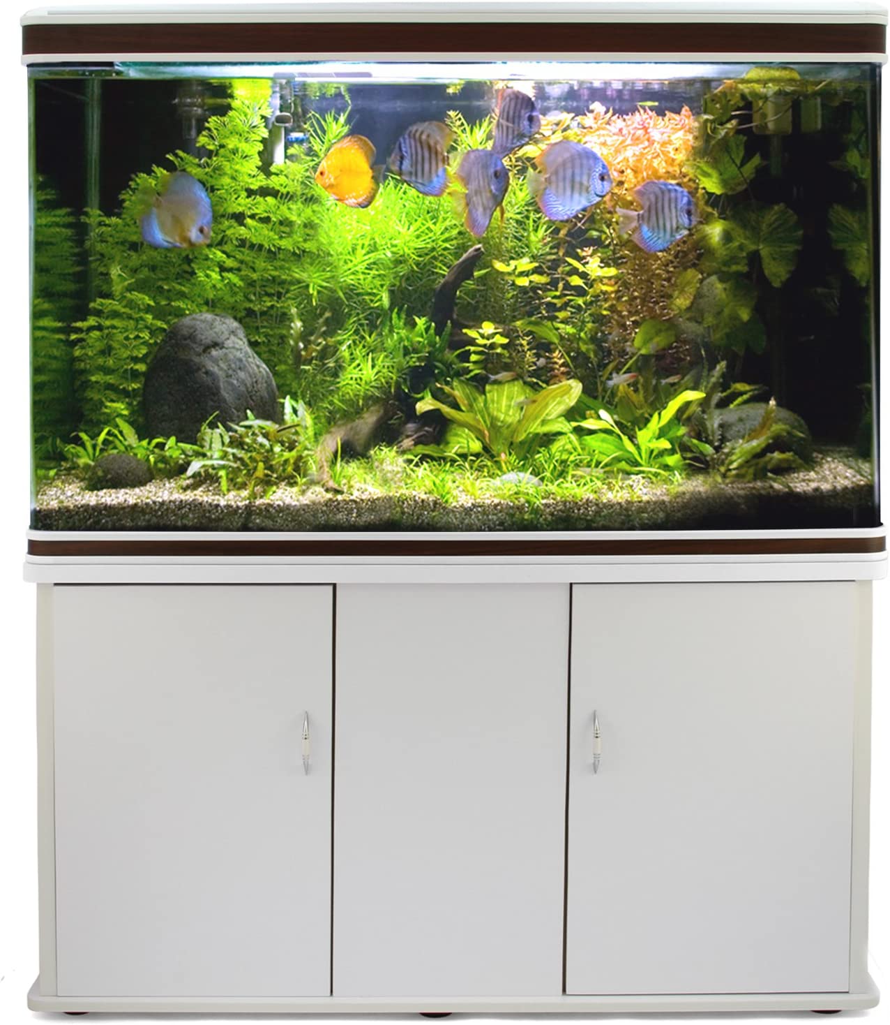 Large Fish Tank Aquarium 4ft 300L Marine Tropical Salt Water
