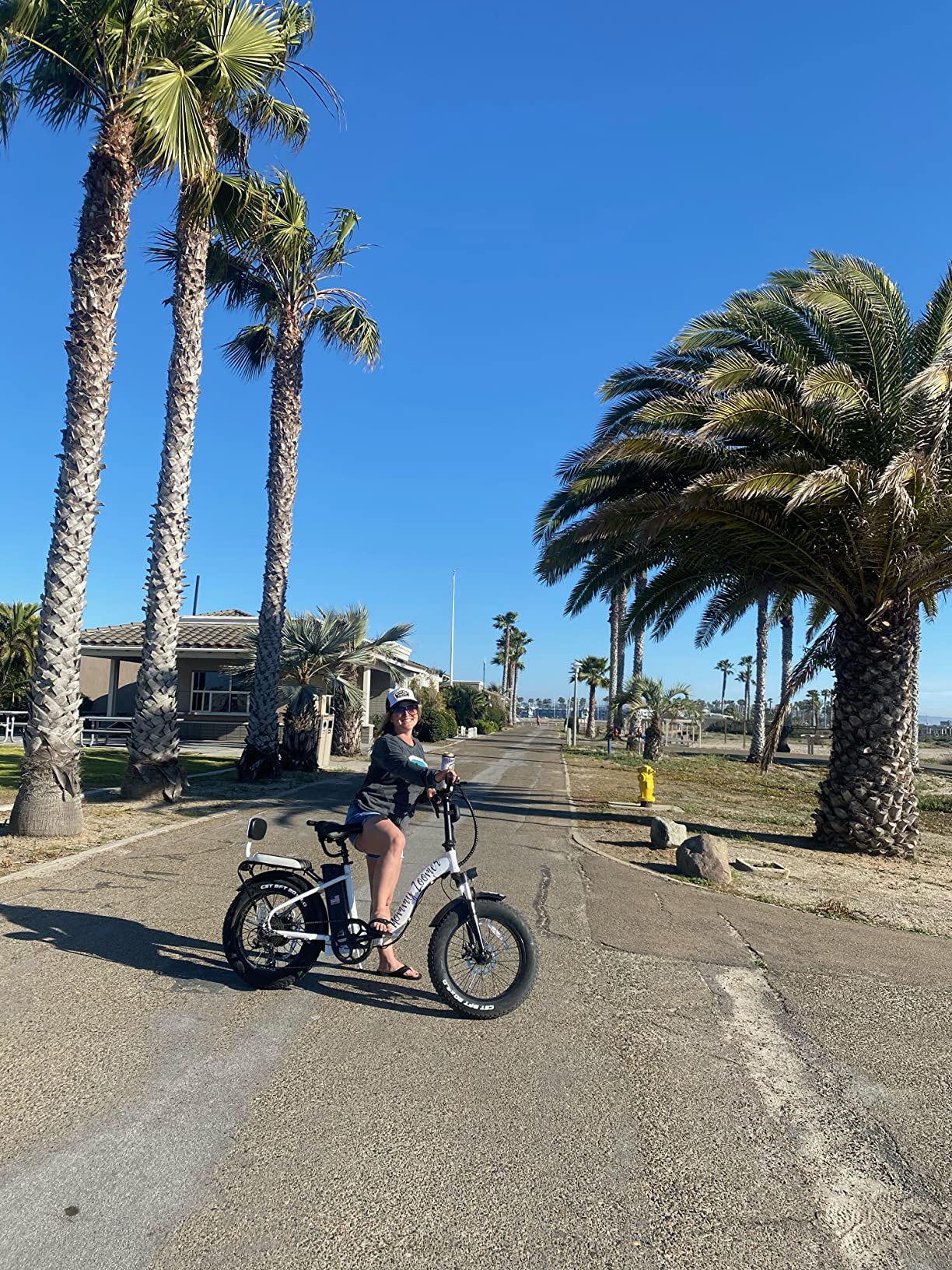 Adult Step-Over & Step-Thru Folding Fat Tire E-Bike Mountain