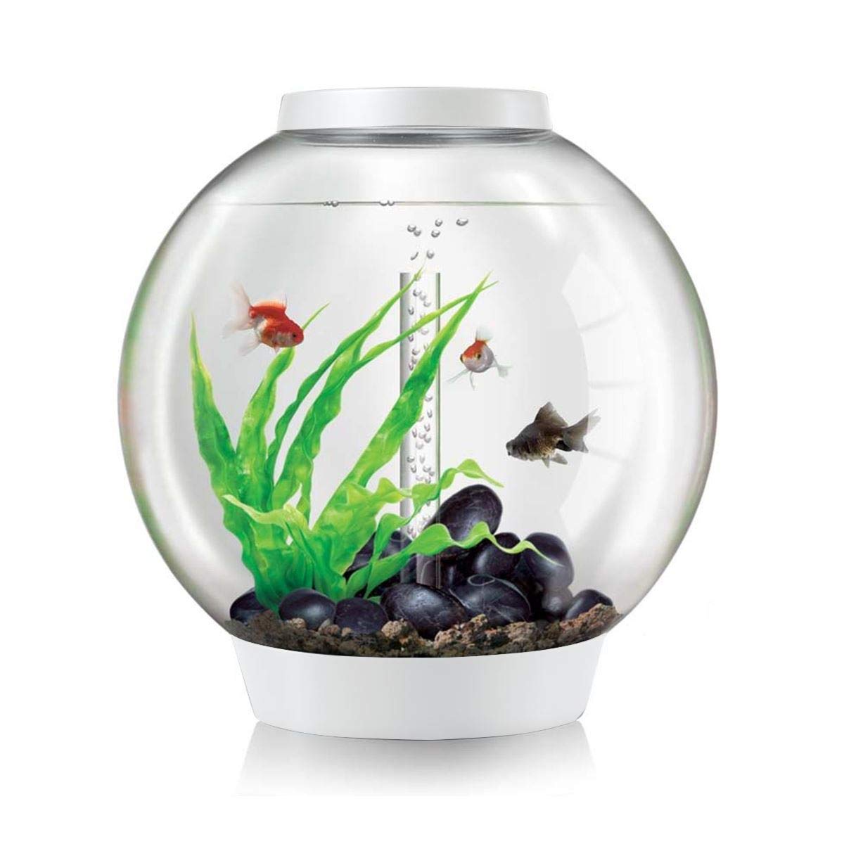 Classic 60L Aquarium in Silver with MCR LED Lighting