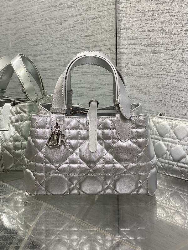 Dior Toujours Tote Bag Small Silver Patent