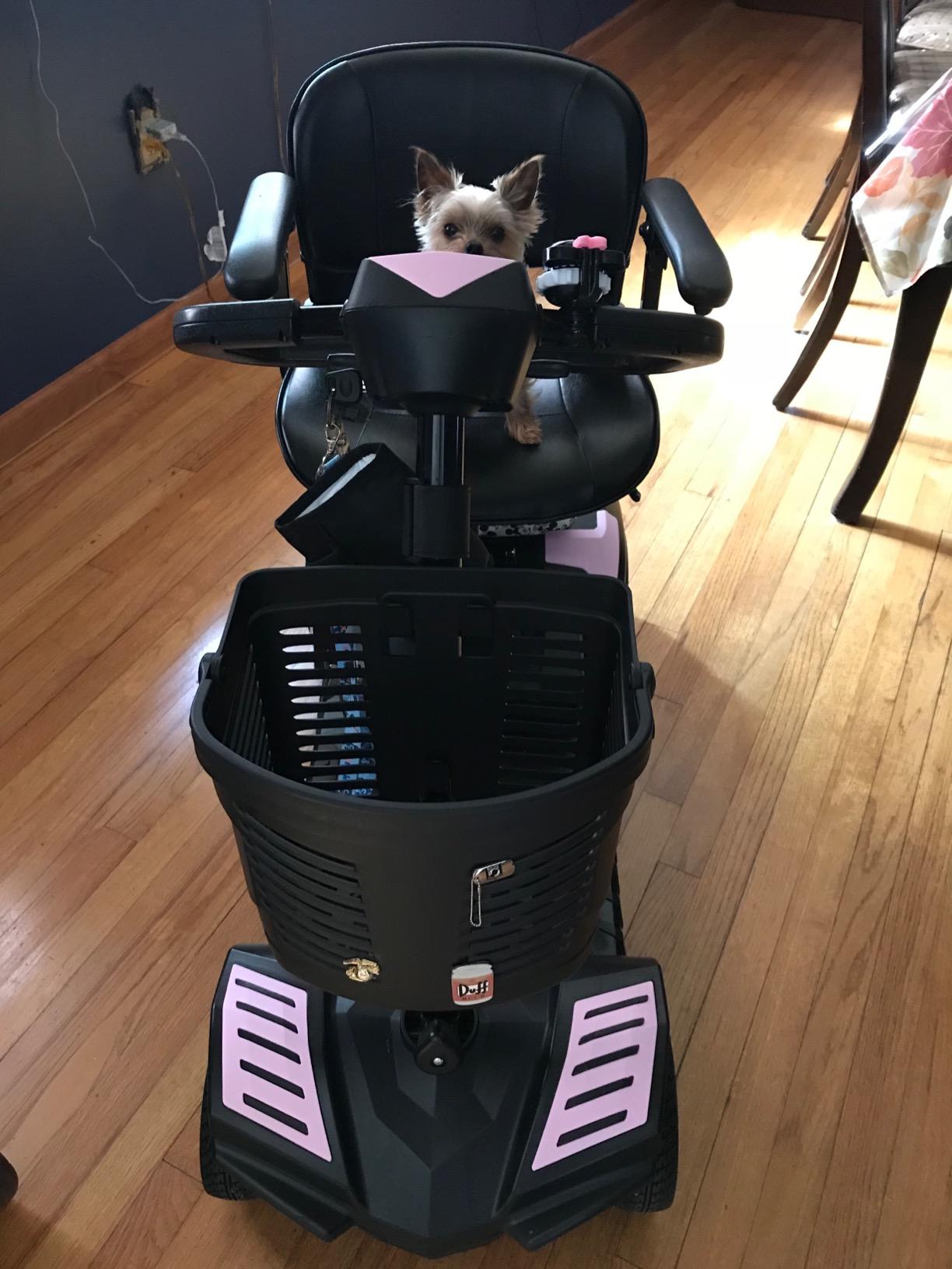 Drive Medical Drive Medical Scout Compact Travel Power Scooter