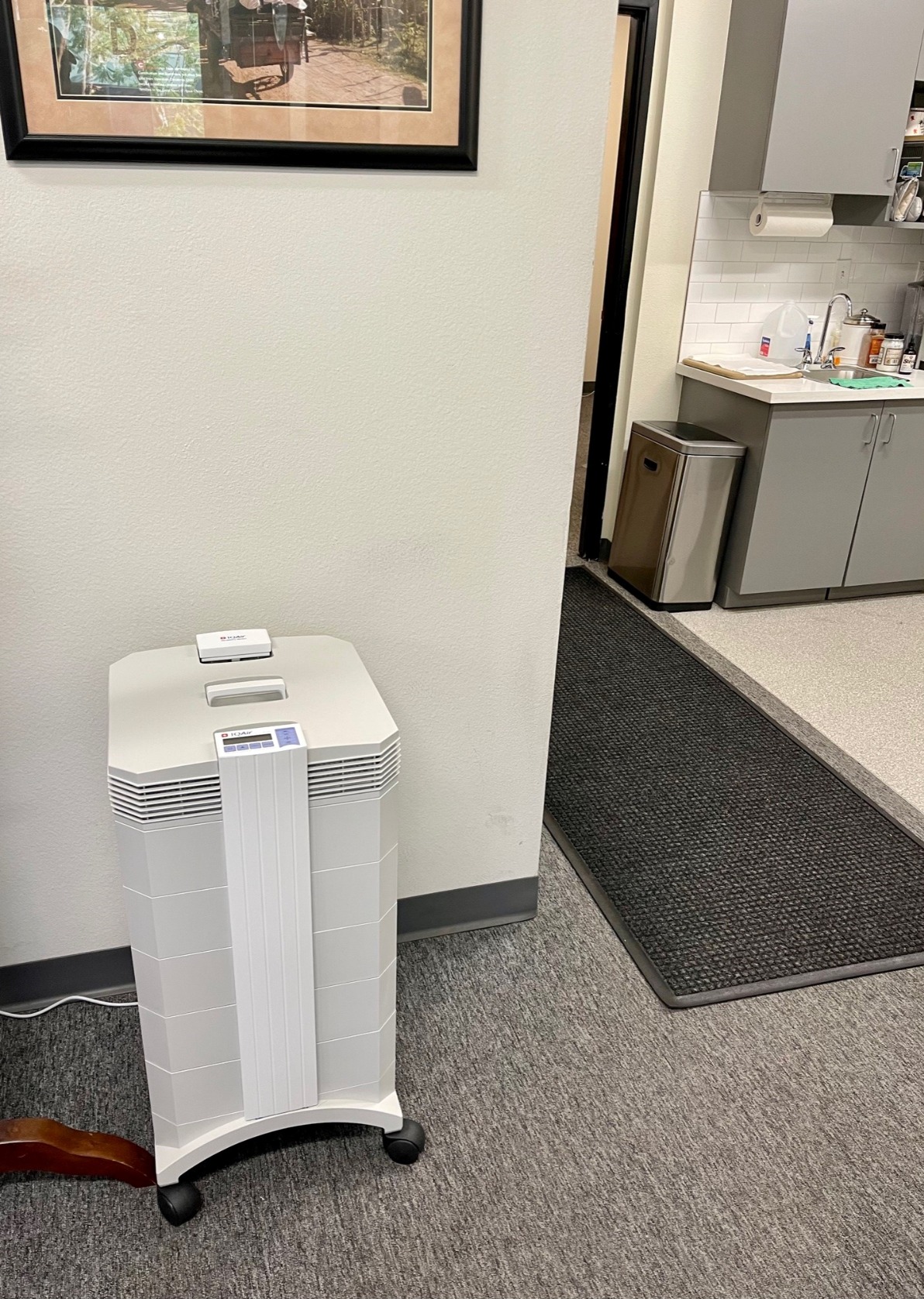 IQAir HealthPro Plus Air Purifier - Medical Grade HyperHEPA