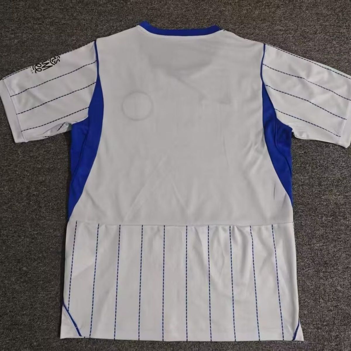 Brighton & Hove Albion Away Jersey Fan Version 26/27