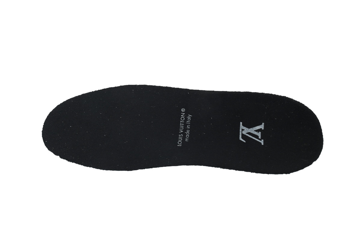 Louis Vuitton Skate Sneaker Black White 1AARR1