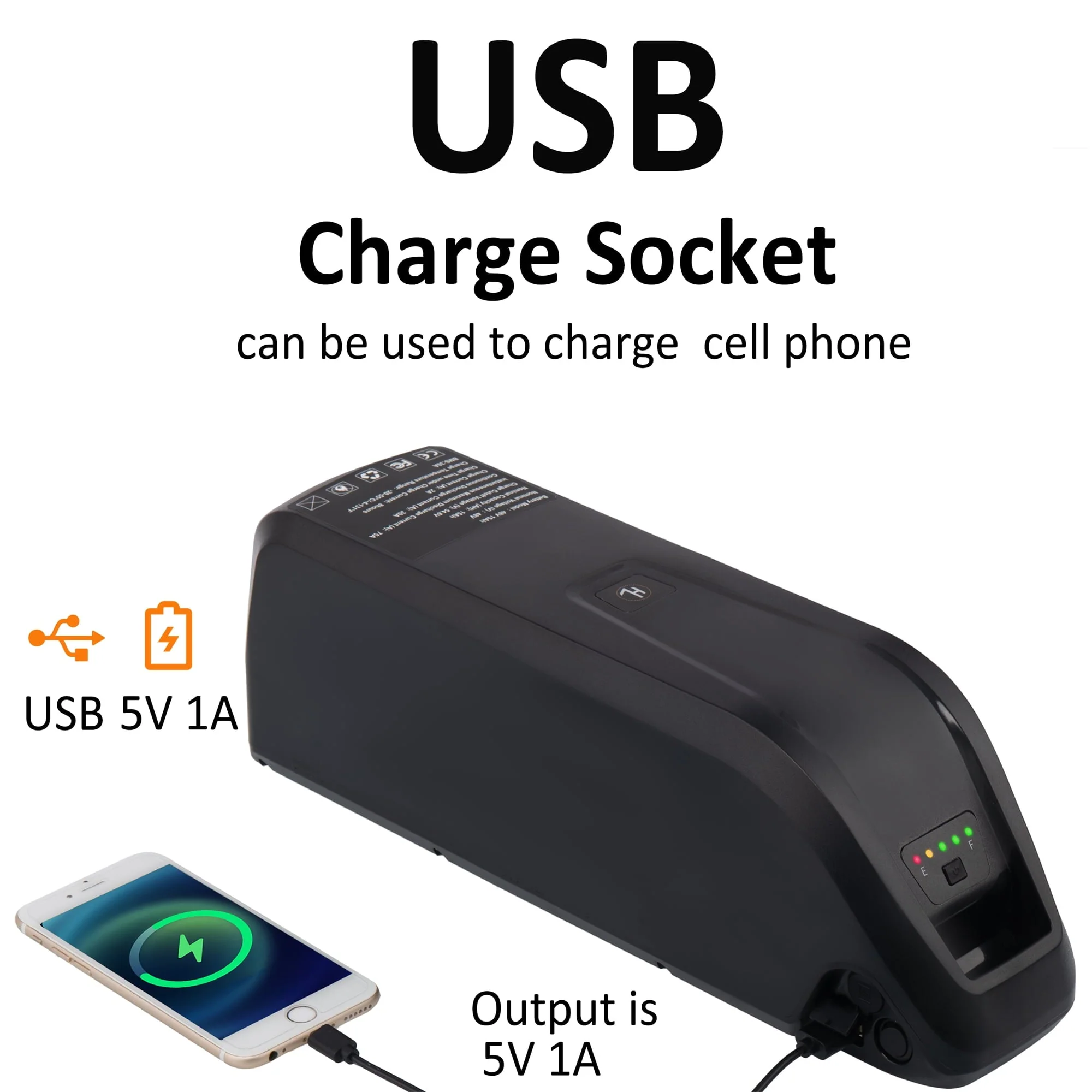 48V 20Ah Lithium E-Bike Battery with Charger