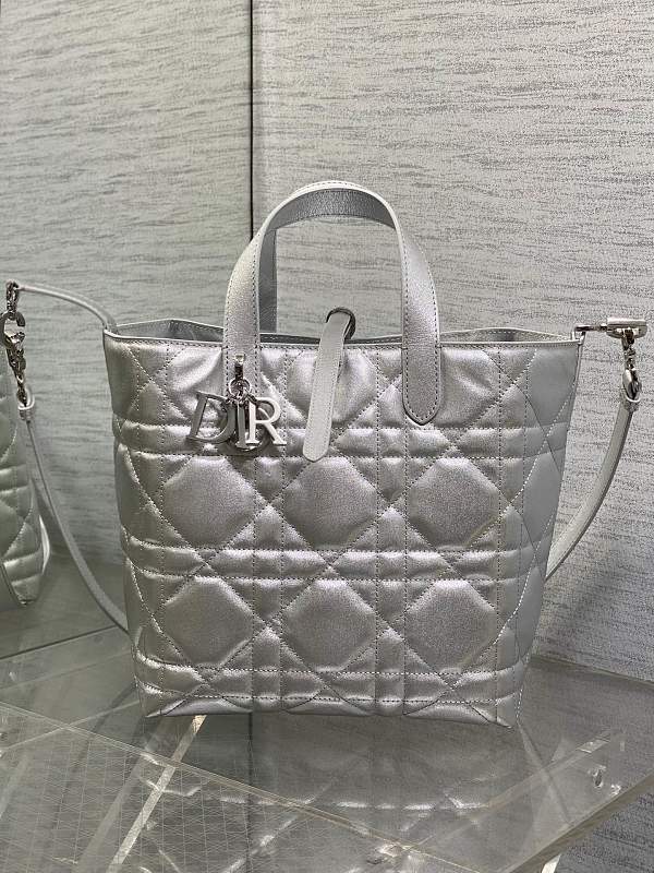 Dior Toujours Vertical Tote Bag Medium Silver
