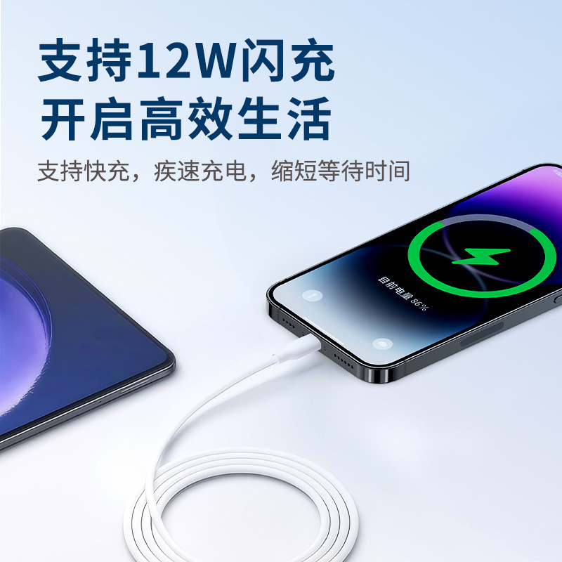 iPhone 14 Charging Accessory Fast Charging - back view